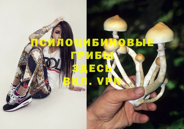 не бодяженный Тында