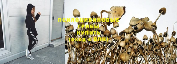 альфа пвп Туринск