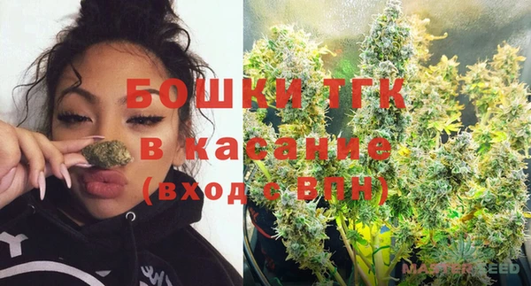 альфа пвп Туринск