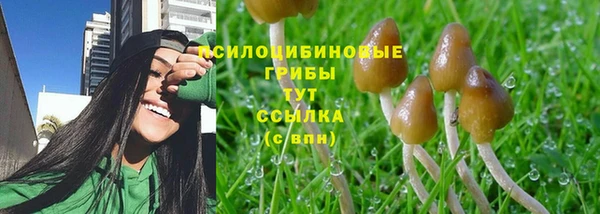 не бодяженный Тында