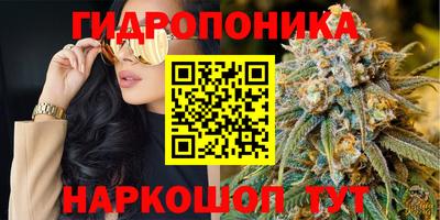 стафф Гусев