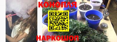 стафф Гусев