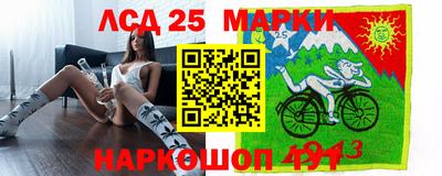 стафф Гусев