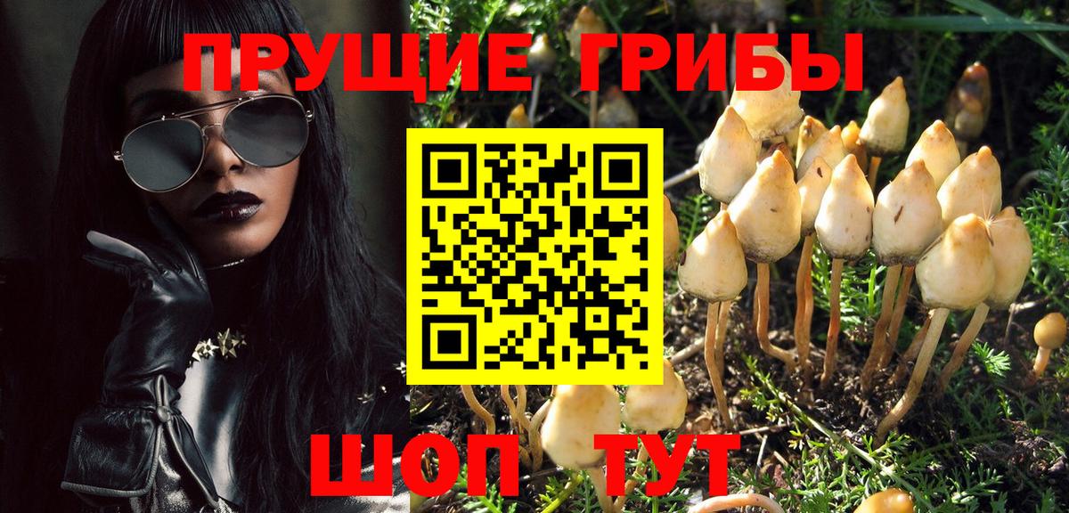Галлюциногенные грибы Magic Shrooms Краснодар
