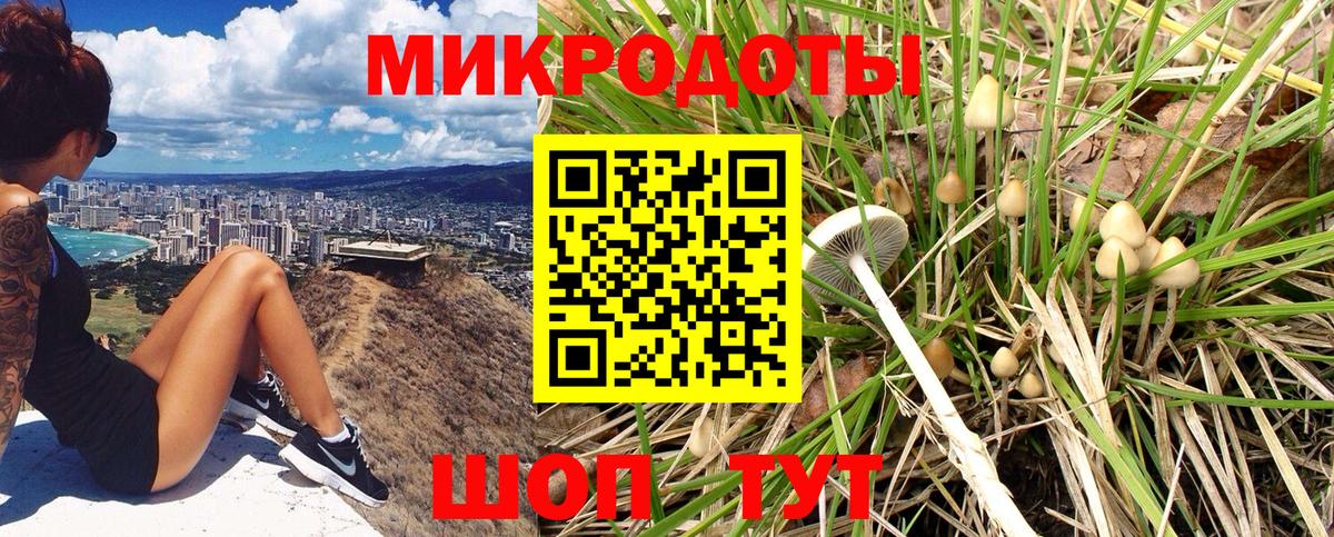 Псилоцибиновые грибы Cubensis  закладка  Краснодар 