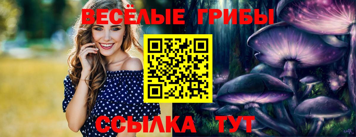 Псилоцибиновые грибы MAGIC MUSHROOMS  хочу наркоту  Краснодар  Вход с VPN 